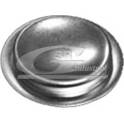 Bouchon (axe de culbuteurs-nez fileté) 3RG - 84051