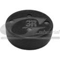 Bouchon (axe de culbuteurs-nez fileté) 3RG - 84701