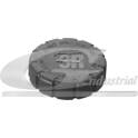 Cap, radiator 3RG - 80508