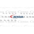 Clip ACKOJA - A70-0223