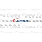 Grapa (x25) ACKOJA - A70-0223