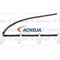 Hose, fuel overflow ACKOJA - A52-0527