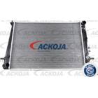 Radiator, engine cooling ACKOJA - A53-60-0003