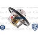 Termostato, refrigerante ACKOJA - A38-99-0008