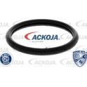 Thermostat, coolant ACKOJA - A38-99-0006