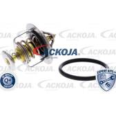 Thermostat, Kühlmittel ACKOJA - A52-99-0015