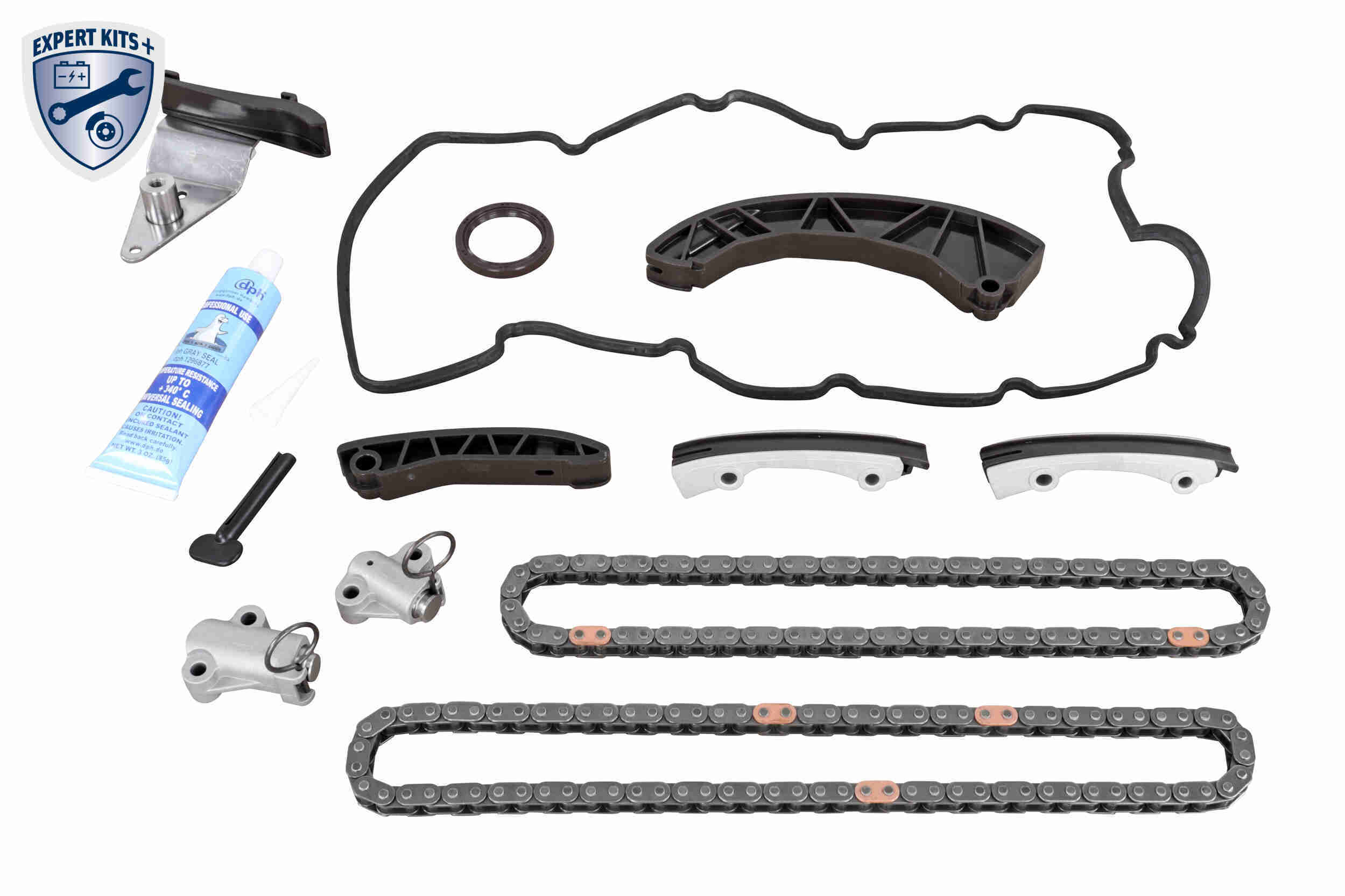 Timing Chain Kit