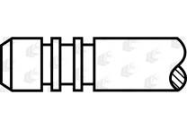 Einlaßventil (x6)