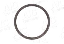 Anillo sensor, ABS