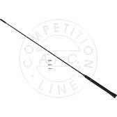 Antenna AIC Jürgen Liebisch GmbH - 53911