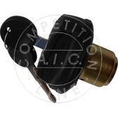 Chiusura, serbatoio carburante AIC Jürgen Liebisch GmbH - 56031
