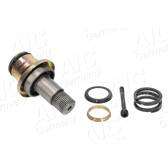 Drive Shaft AIC Jürgen Liebisch GmbH - 55726