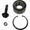 Wheel Bearing Kit AIC Jürgen Liebisch GmbH - 51725