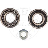Wheel Bearing Kit AIC Jürgen Liebisch GmbH - 59593