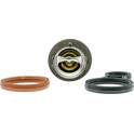 Termostato, refrigerante AISIN - THRAZ-7028