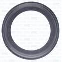 Bague d'étanchéité (gaine de suralimentation) AJUSA - 01478300