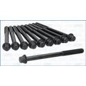 Cylinder Head Bolt Set AJUSA - 81065900