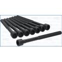 Cylinder Head Bolt Set AJUSA - 81067000