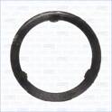 Gasket, exhaust manifold AJUSA - 13238300