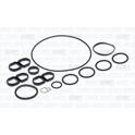 Gasket Kit, crankcase AJUSA - 54195400