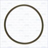 Gasket, vacuum pump AJUSA - 16088000