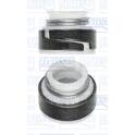 Klepsteal AJUSA - 12002800