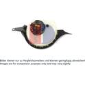 Ausgleichsbehälter, Kühlmittel AKS DASIS - 053028N