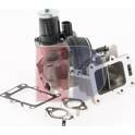 EGR Valve AKS DASIS - 045069N