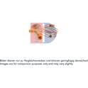 Expansionsventil, Klimaanlage AKS DASIS - 840100N