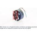 Magneetkoppeling, airconditioningcompressor AKS DASIS - 852967N