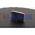 Radiateur chauffage AKS DASIS - 059015N
