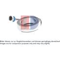 Spoel, magneetkoppeling (compressor) AKS DASIS - 851897N