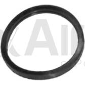 Dichtung, Thermostat ALFA E-PARTS - AF10612