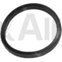 Pakking, thermostaat ALFA E-PARTS - AF10612