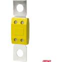  Megaval fuses x2 100a AMIO - 03463