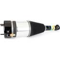 Shock absorber (sold individually) Arnott - AS-3800
