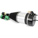 Shock absorber (sold individually) Arnott - AS-3803
