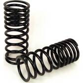 Suspension Set, springs Arnott - C-2227