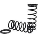 Suspension Set, springs Arnott - C-2410