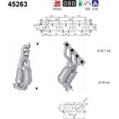 Catalyseur AS - 45263