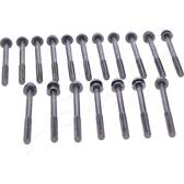 Boulon / vis de culasse de cylindre ASHIKA - 115-01-100