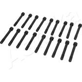 Boulon / vis de culasse de cylindre ASHIKA - 115-05-500