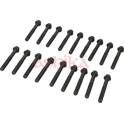 Boulon / vis de culasse de cylindre ASHIKA - 115-05-504