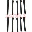 Boulon / vis de culasse de cylindre ASHIKA - 115-0H-H03
