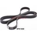 Courroie d'accessoire ASHIKA - 112-5PK1800