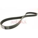 Courroie d'accessoire ASHIKA - 112-5PK885