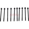 Cylinder Head Bolt Set ASHIKA - 115-04-401