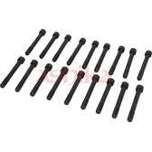 Cylinder Head Bolt Set ASHIKA - 115-05-500