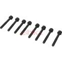 Cylinder Head Bolt Set ASHIKA - 115-0K-K01
