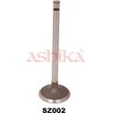 Inlet Valve (per unit) ASHIKA - 15SZ002
